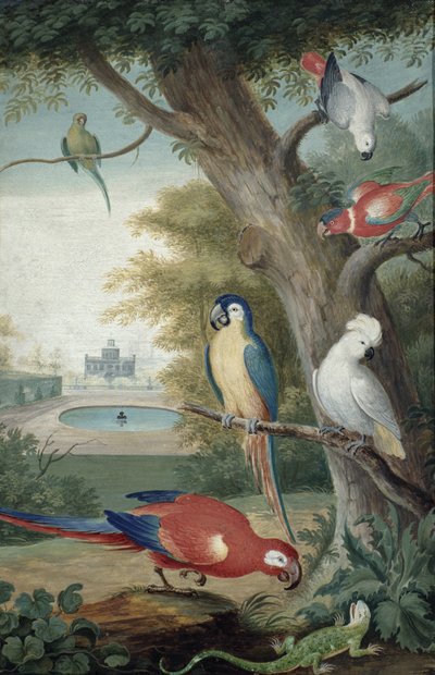 Papageien und eine Eidechse in einem malerischen Park, frühes 18. Jahrhundert von Jakob Bogdani or Bogdany
